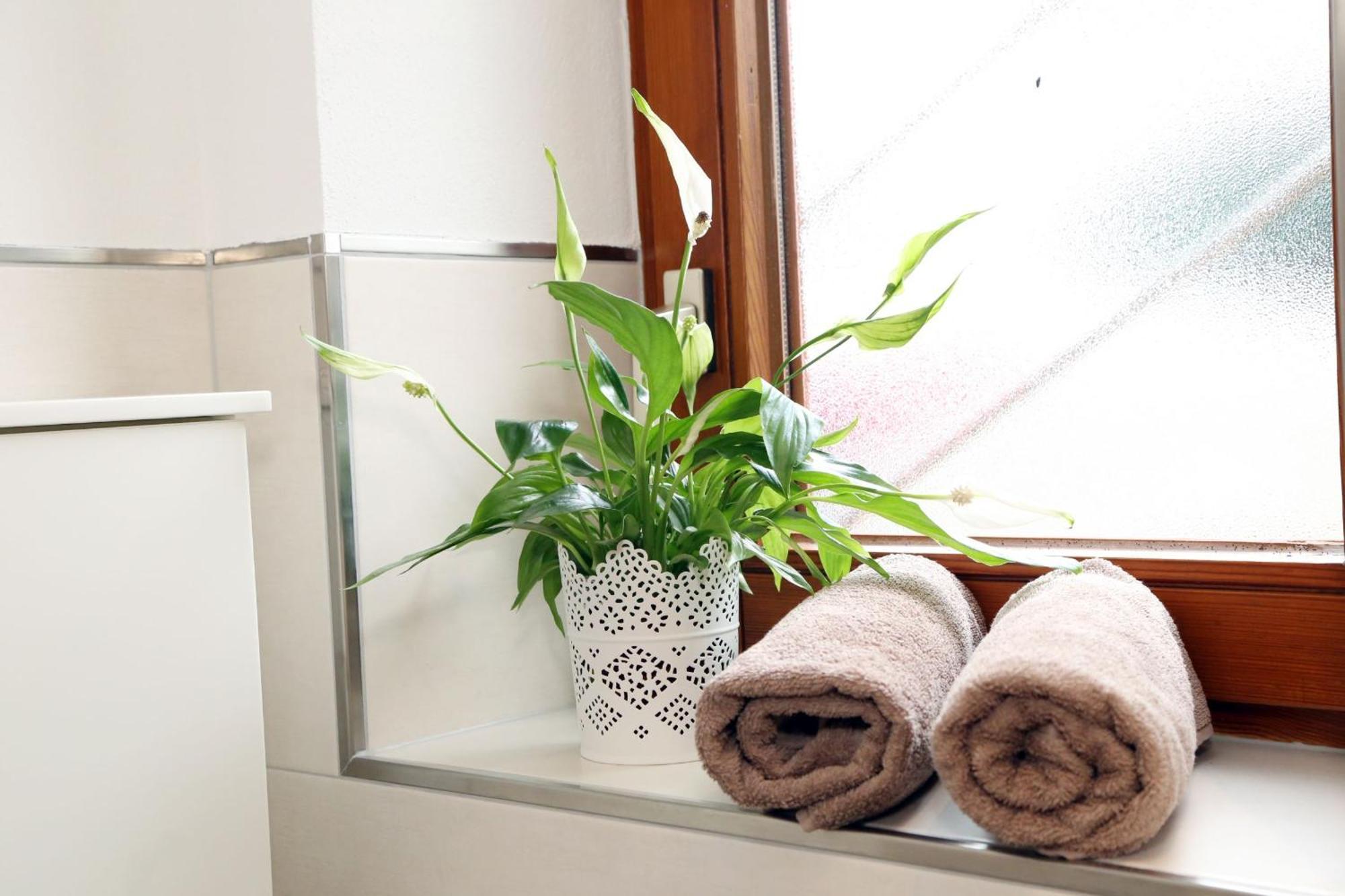 Appartement Schwarzwaldstueble オーバーハルマースバッハ エクステリア 写真