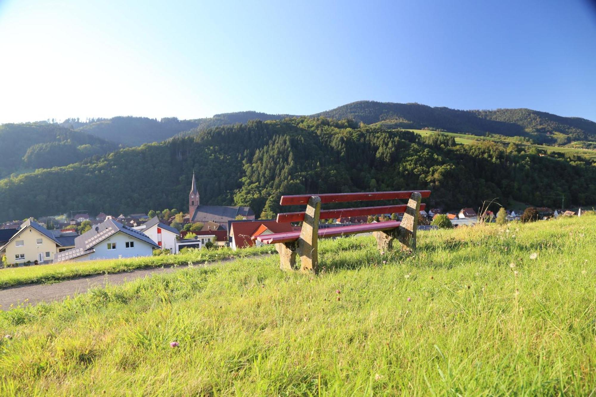 Appartement Schwarzwaldstueble オーバーハルマースバッハ エクステリア 写真